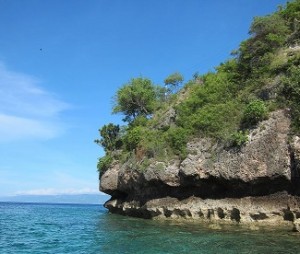 Dive Gorontalo beneath limestone cliffs