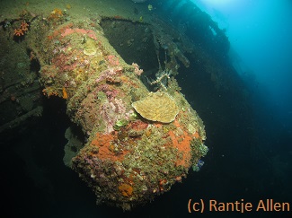 wreck diving in Gorontalo on the Tjenderawashi