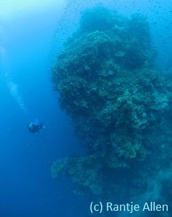 pinnacle diving at Sentinels