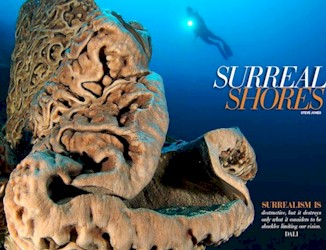Ocean Geographic magazine Gorontalo Diving Picture - Sulawesi